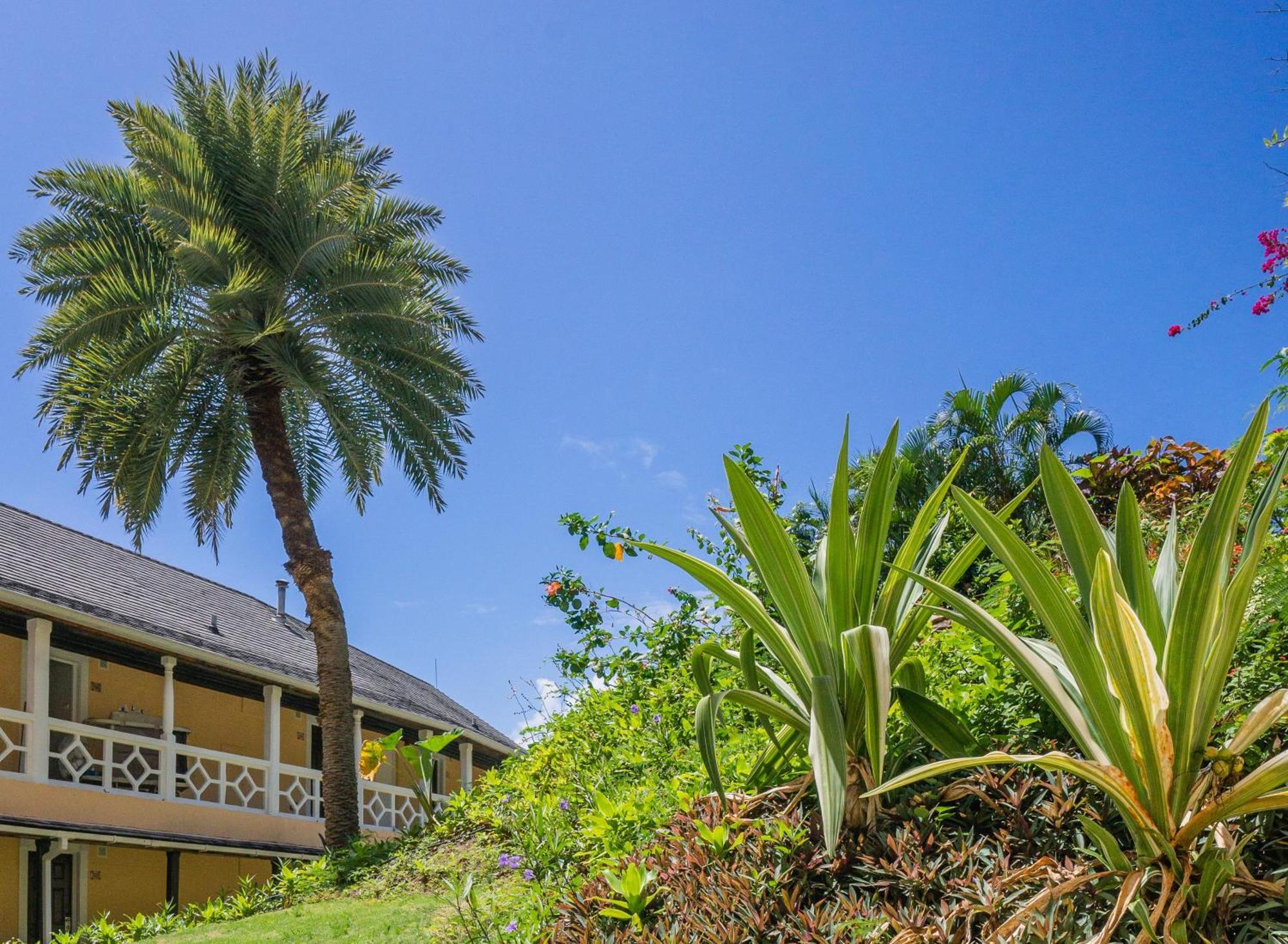 Bodyholiday St Lucia Gros Islet Exterior photo